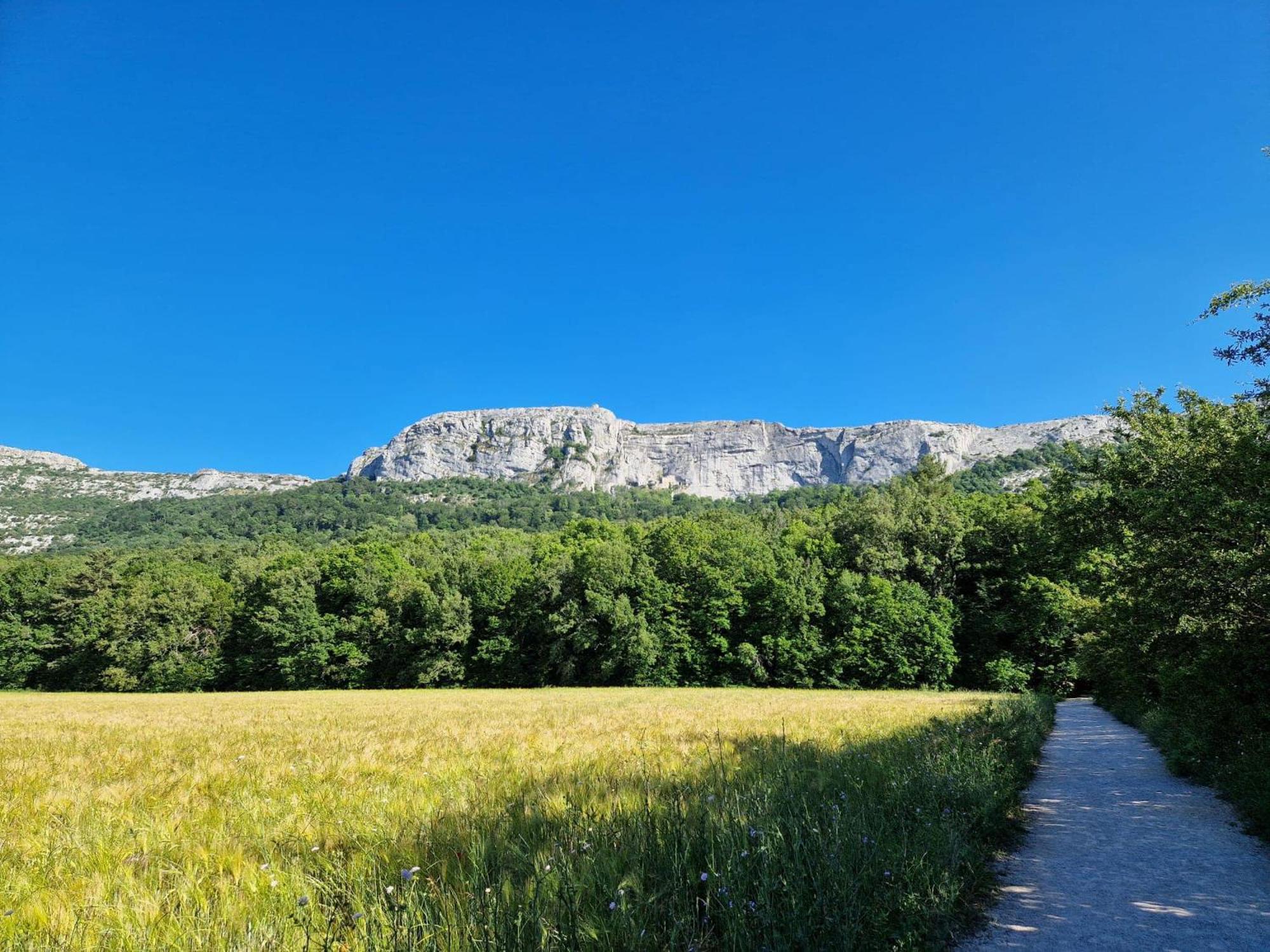 شقة Bastide Saint Supin Tourves المظهر الخارجي الصورة